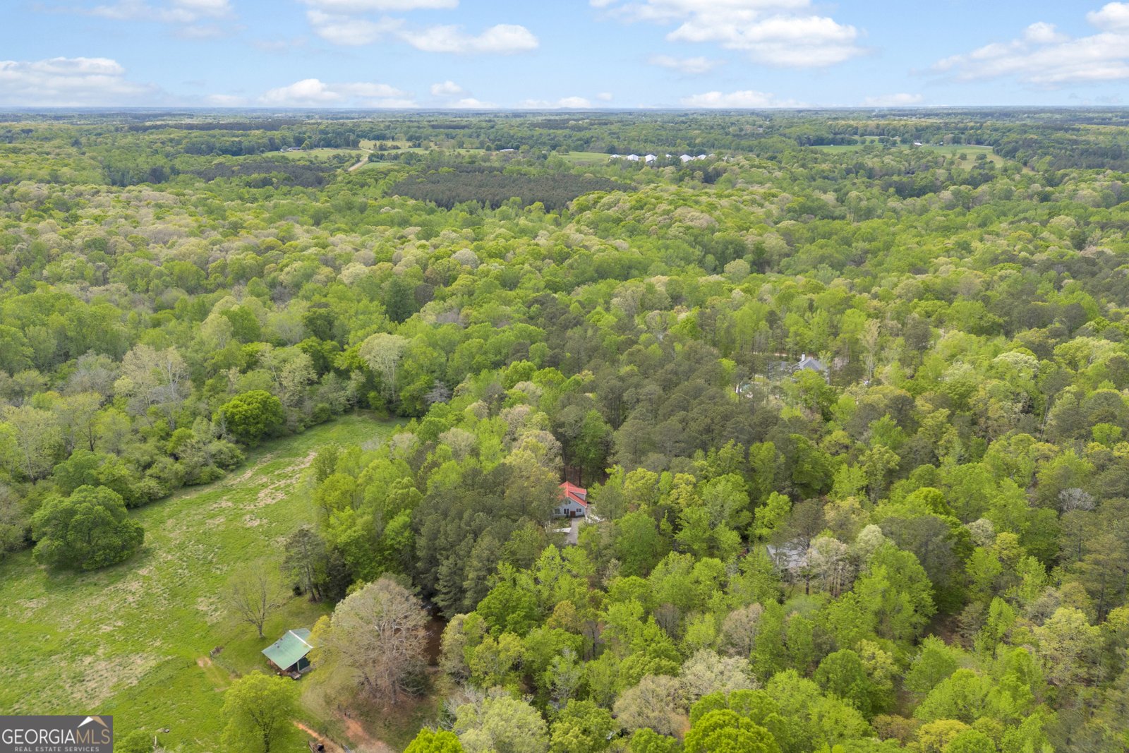 1253 Beechnut Lane Watkinsville - Photo 55