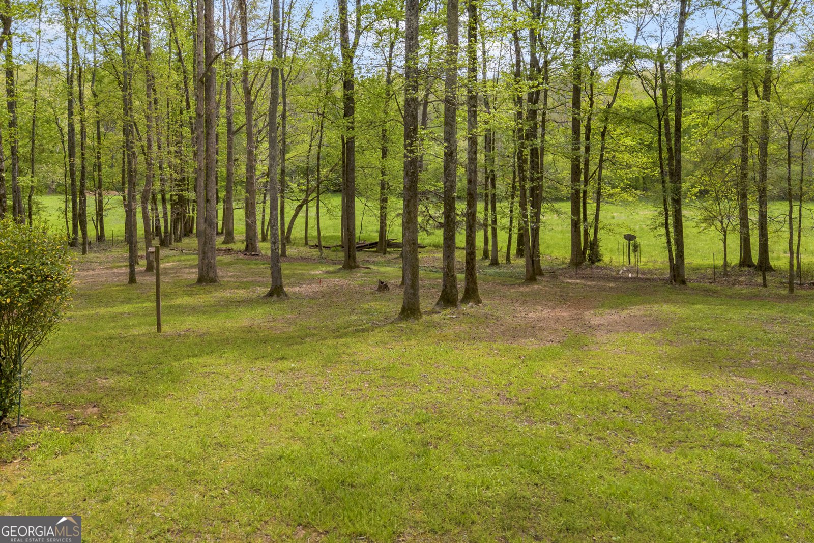 1253 Beechnut Lane Watkinsville - Photo 9