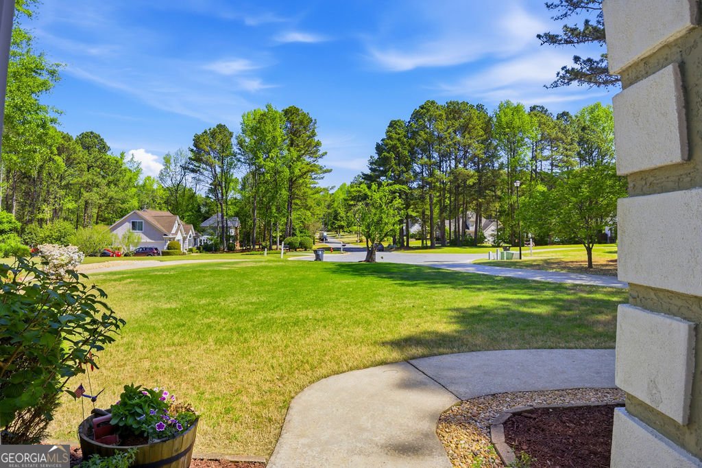 57 Biltmore Circle Sharpsburg - Photo 34