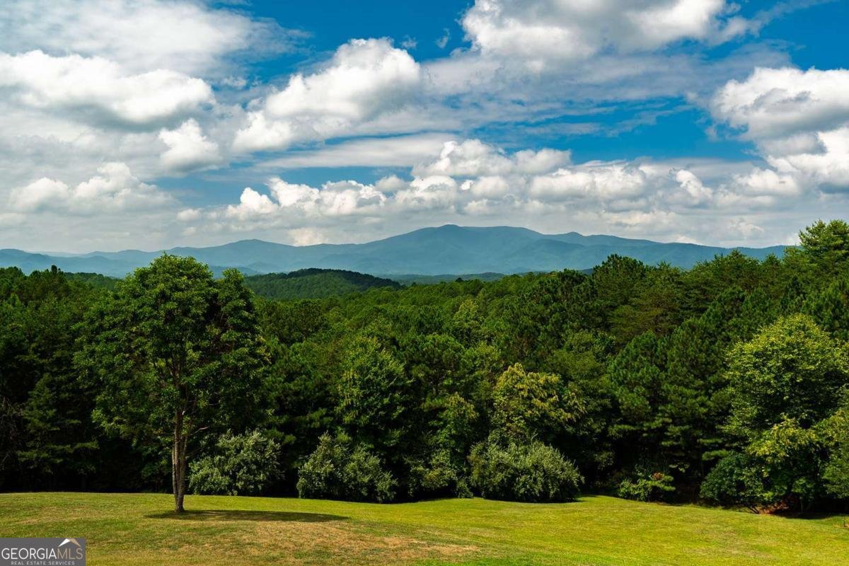 156 Pine View Lane Copperhill - Photo 12