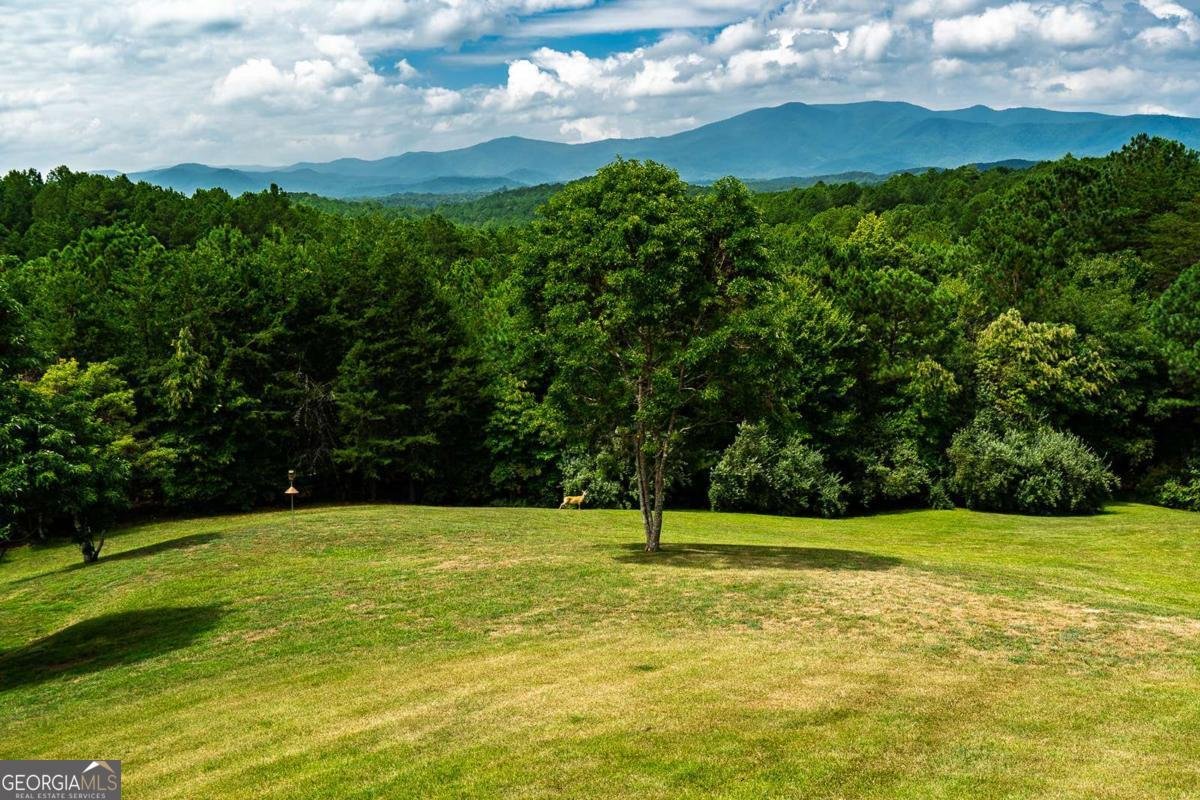 156 Pine View Lane Copperhill - Photo 14