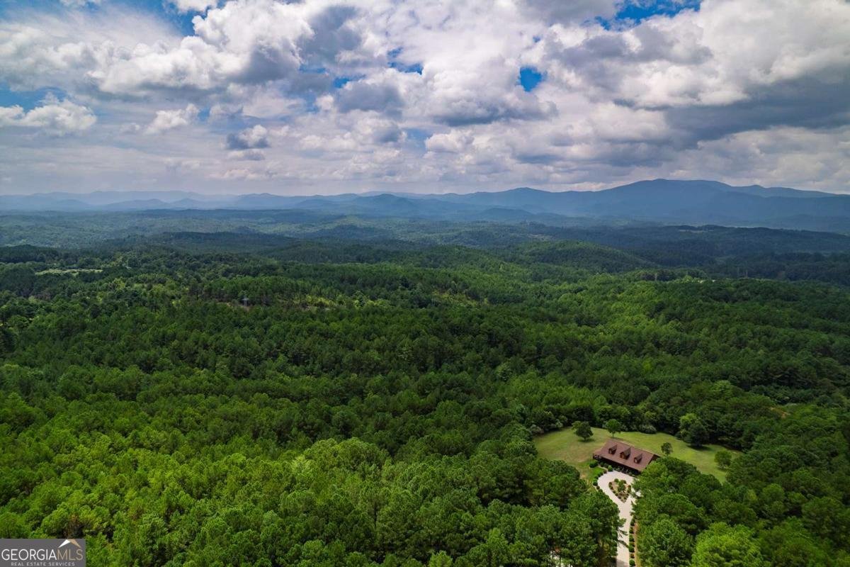 156 Pine View Lane Copperhill - Photo 24