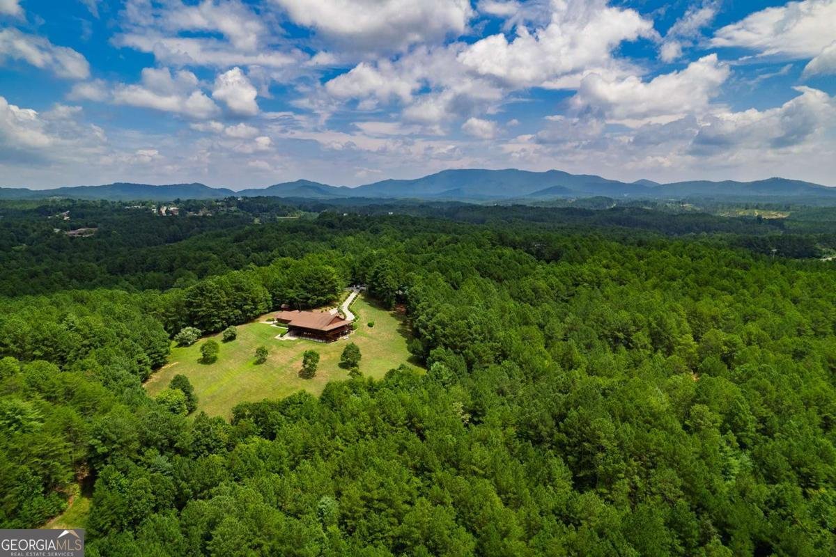 156 Pine View Lane Copperhill - Photo 25