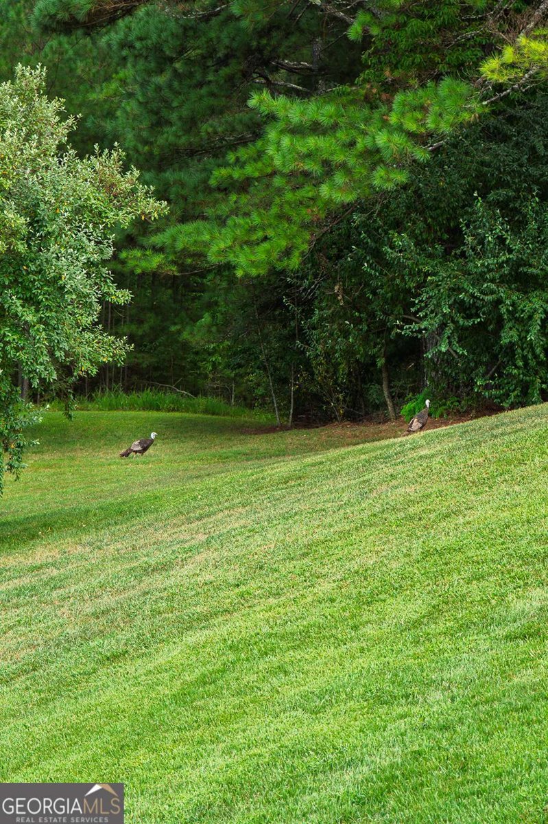 156 Pine View Lane Copperhill - Photo 65