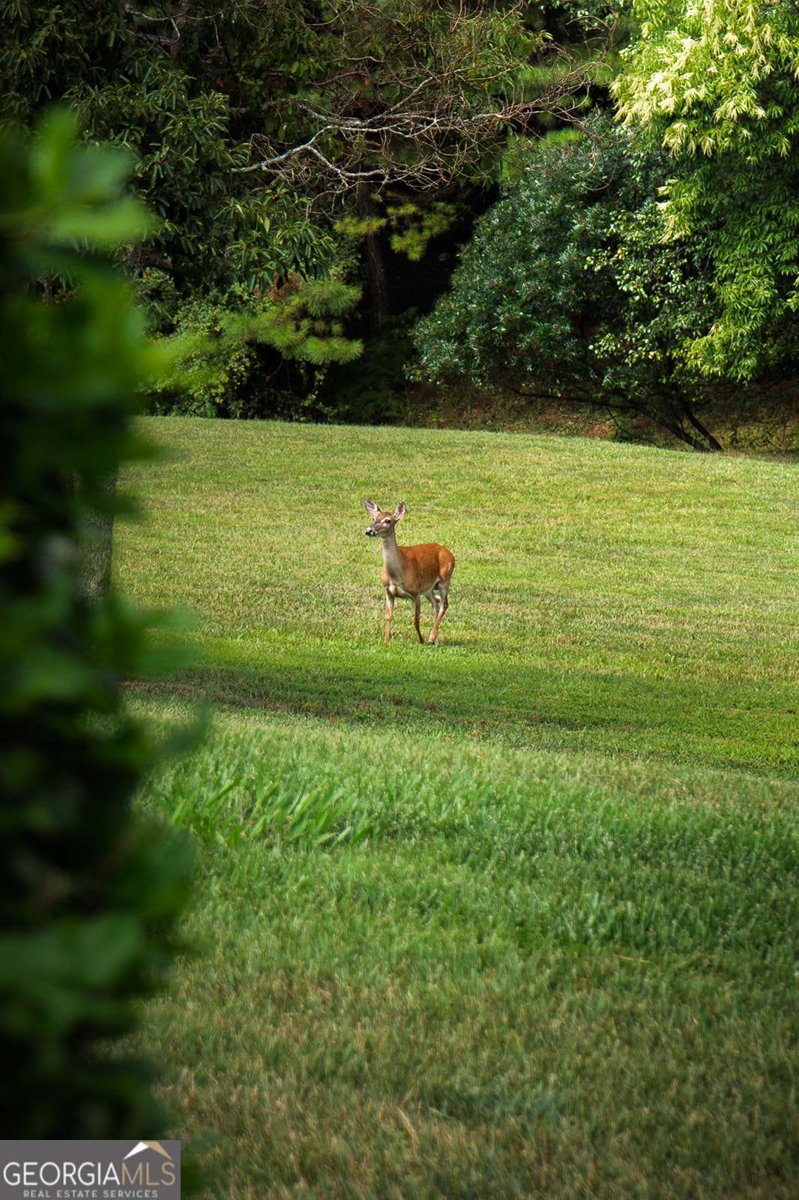 156 Pine View Lane Copperhill - Photo 7