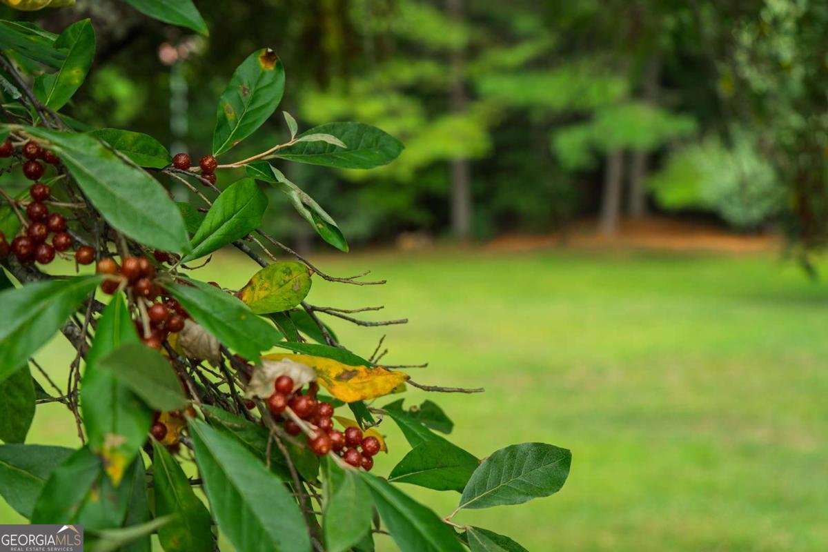 156 Pine View Lane Copperhill - Photo 9