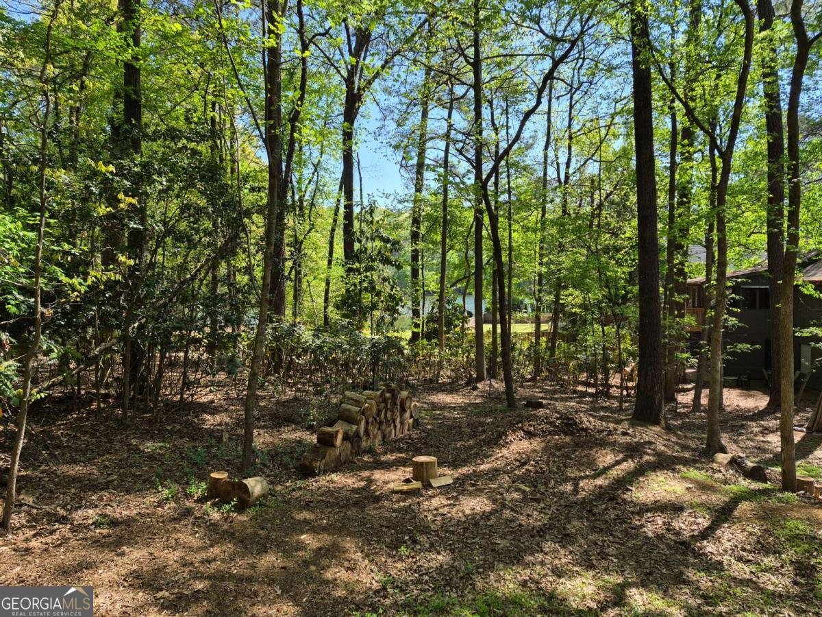 1265 Northshore Drive Roswell - Photo 51