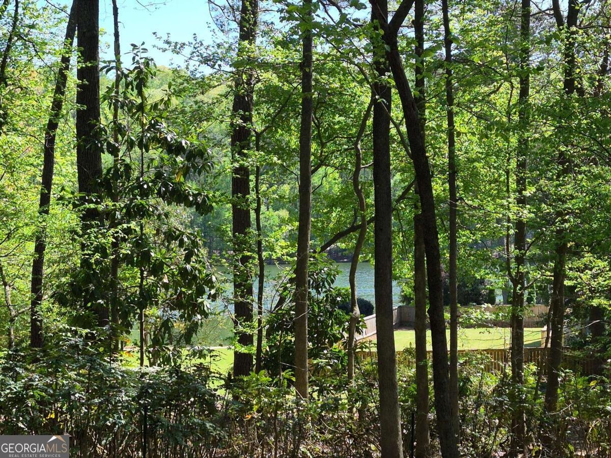 1265 Northshore Drive Roswell - Photo 52