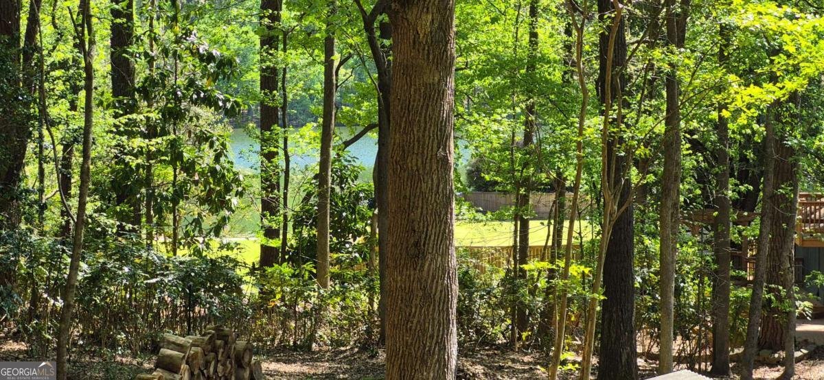 1265 Northshore Drive Roswell - Photo 53