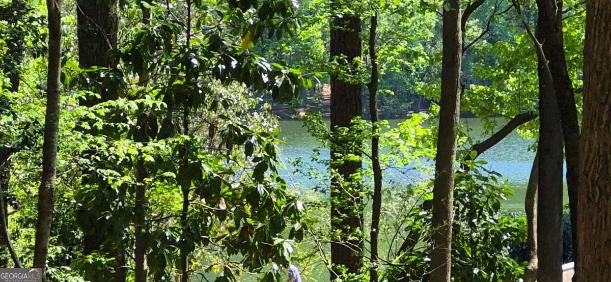 1265 Northshore Drive Roswell - Photo 54