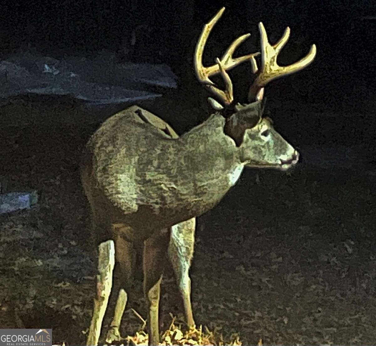 1265 Northshore Drive Roswell - Photo 62