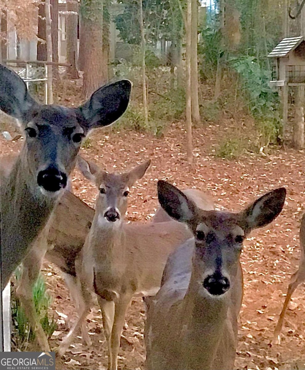 1265 Northshore Drive Roswell - Photo 63