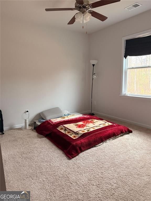 451 Carmichael Circle Canton - Photo 20