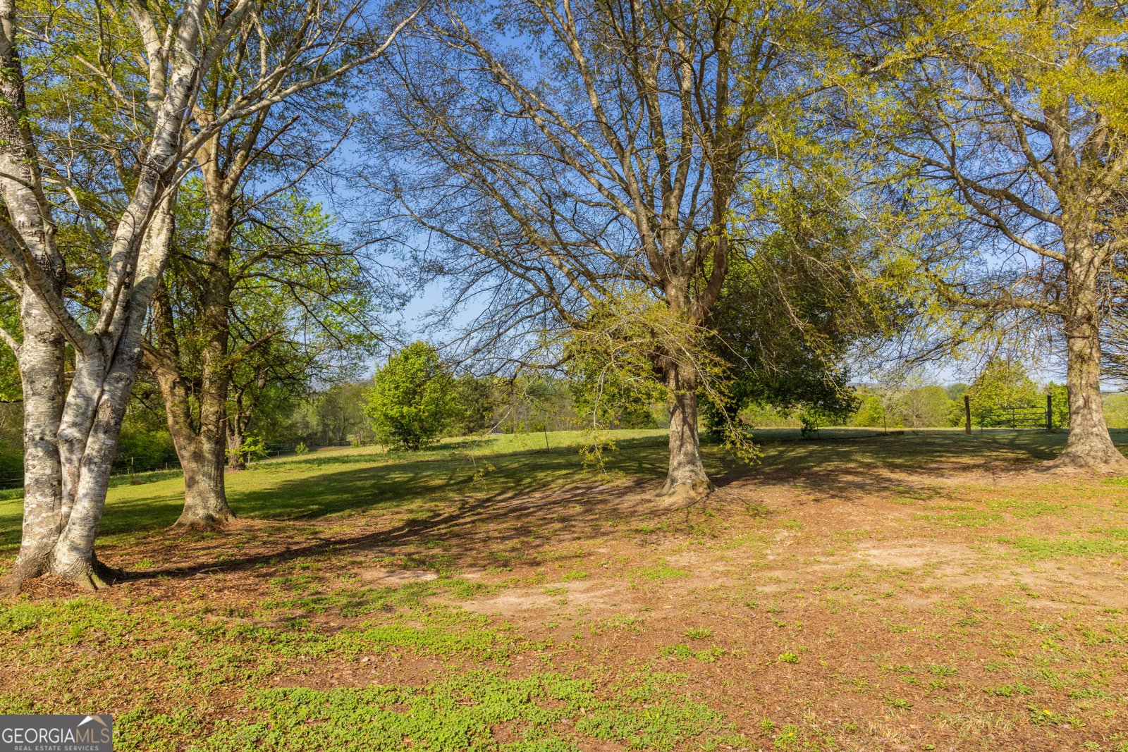 383 Ellerbeetown Road Thomaston - Photo 49