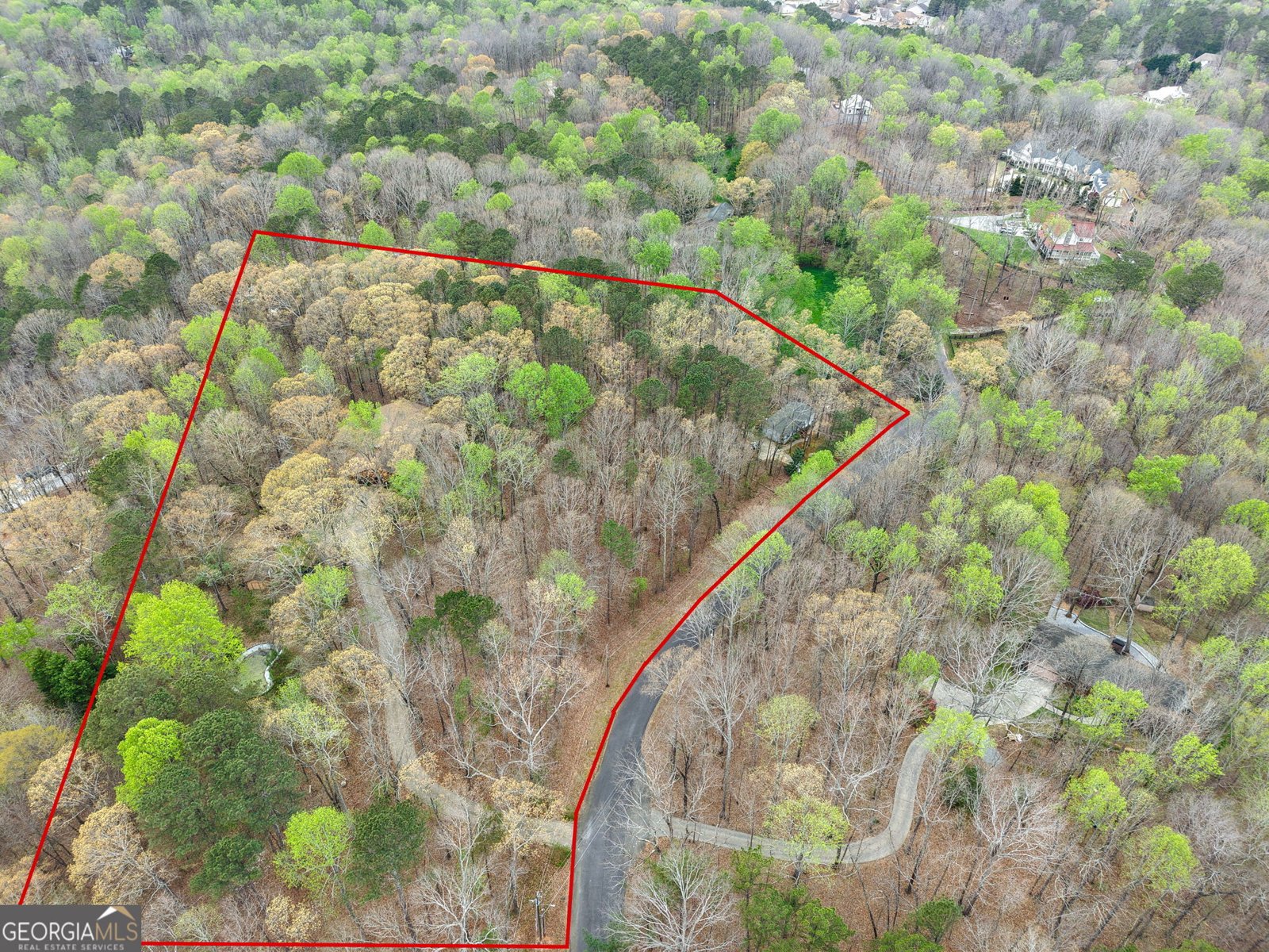 305 Woodmont Court Canton - Photo 49