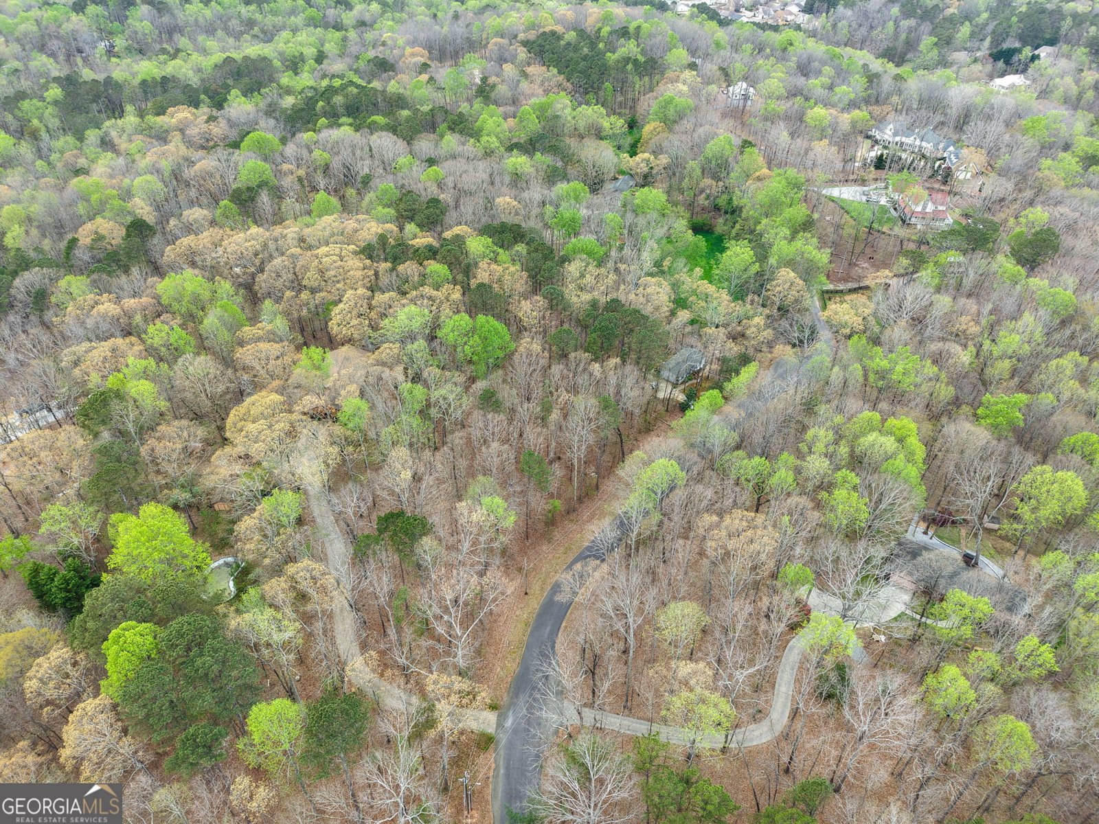 305 Woodmont Court Canton - Photo 50