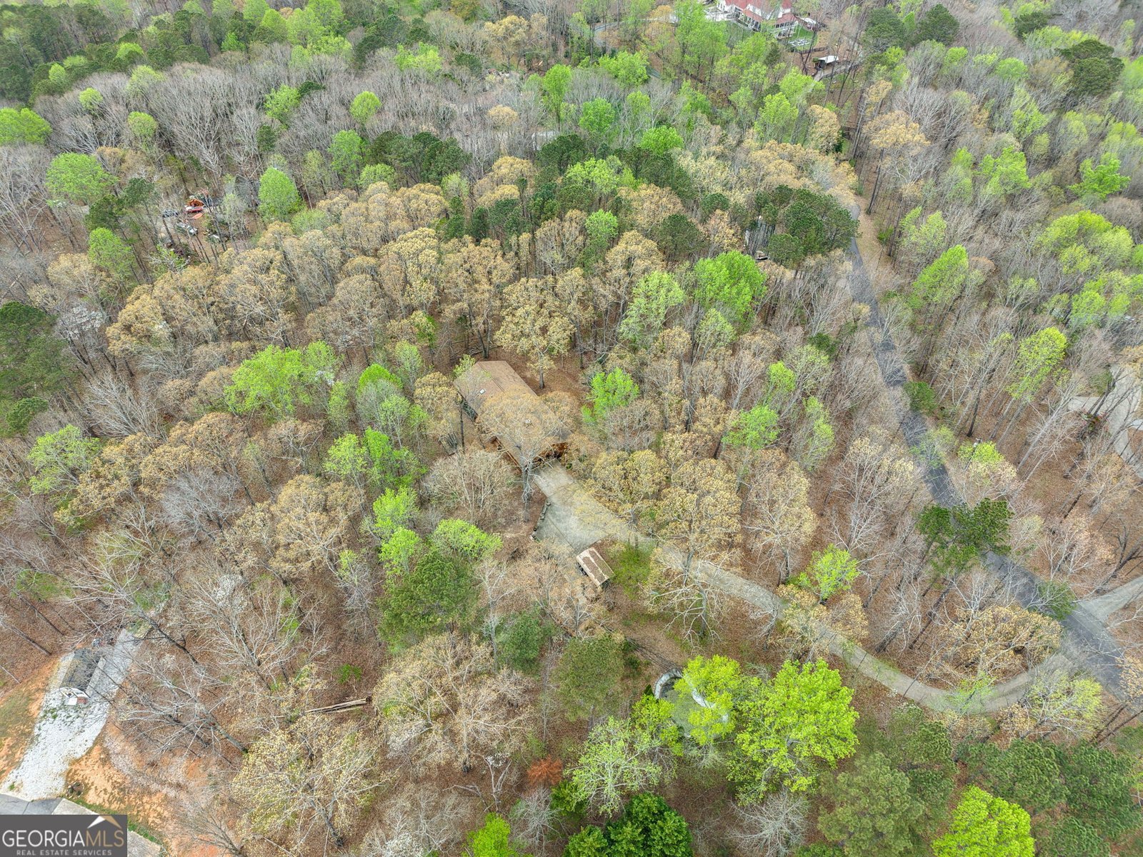 305 Woodmont Court Canton - Photo 51