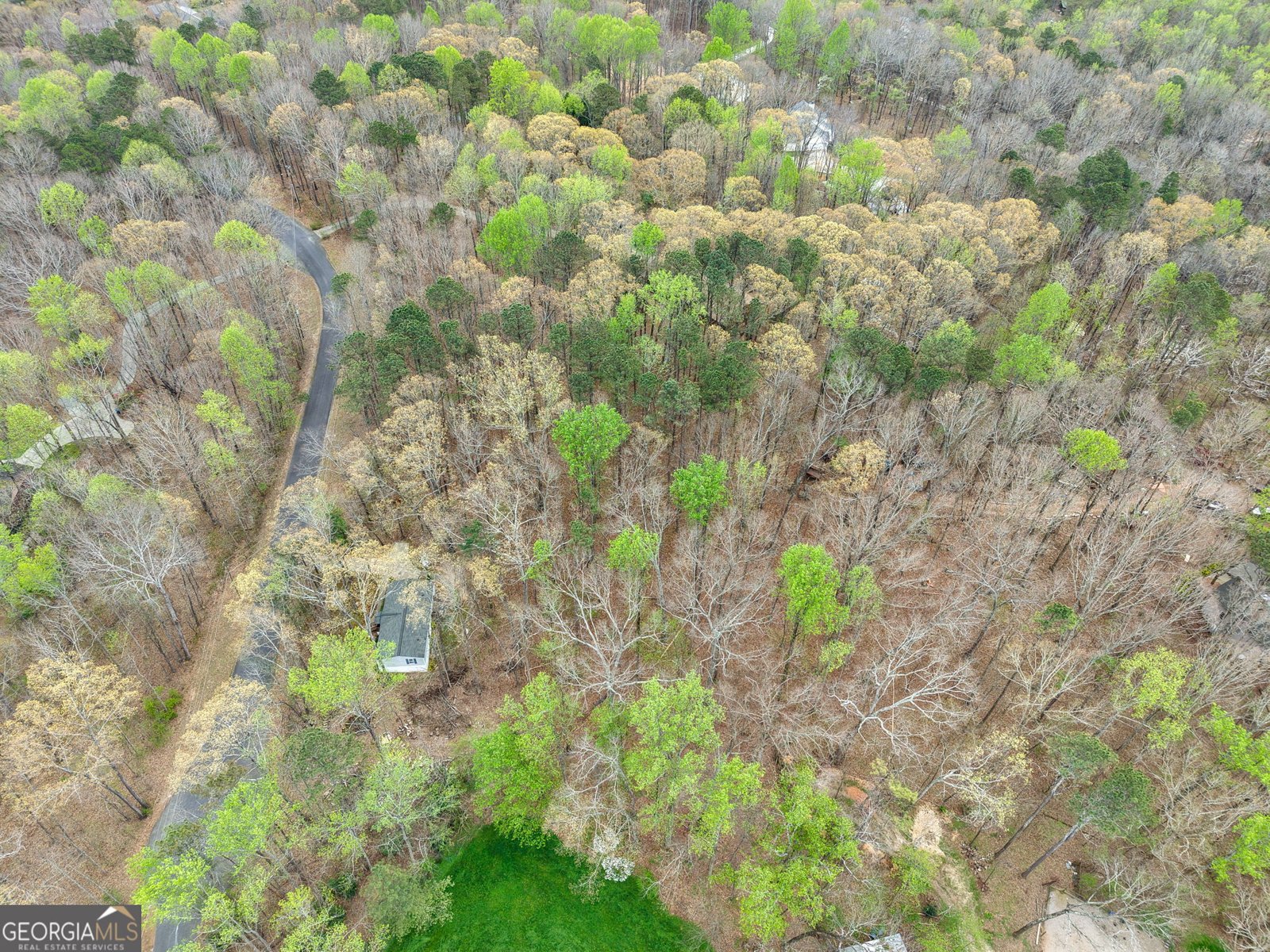 305 Woodmont Court Canton - Photo 52