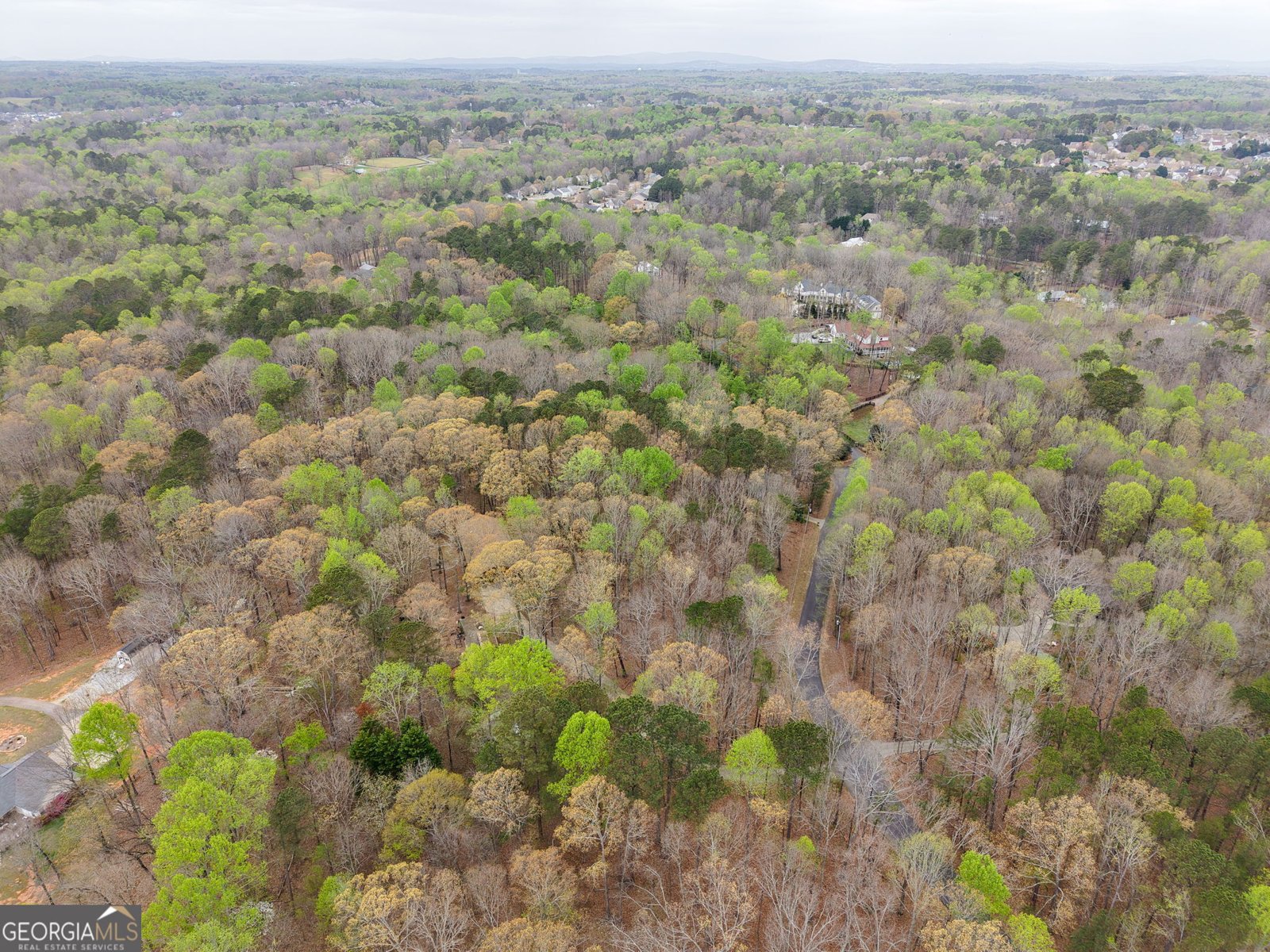 305 Woodmont Court Canton - Photo 53