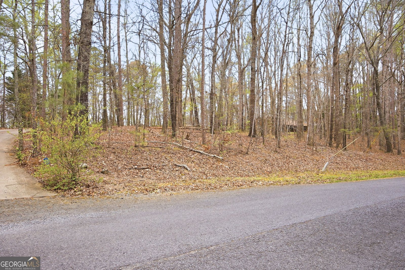 305 Woodmont Court Canton - Photo 6