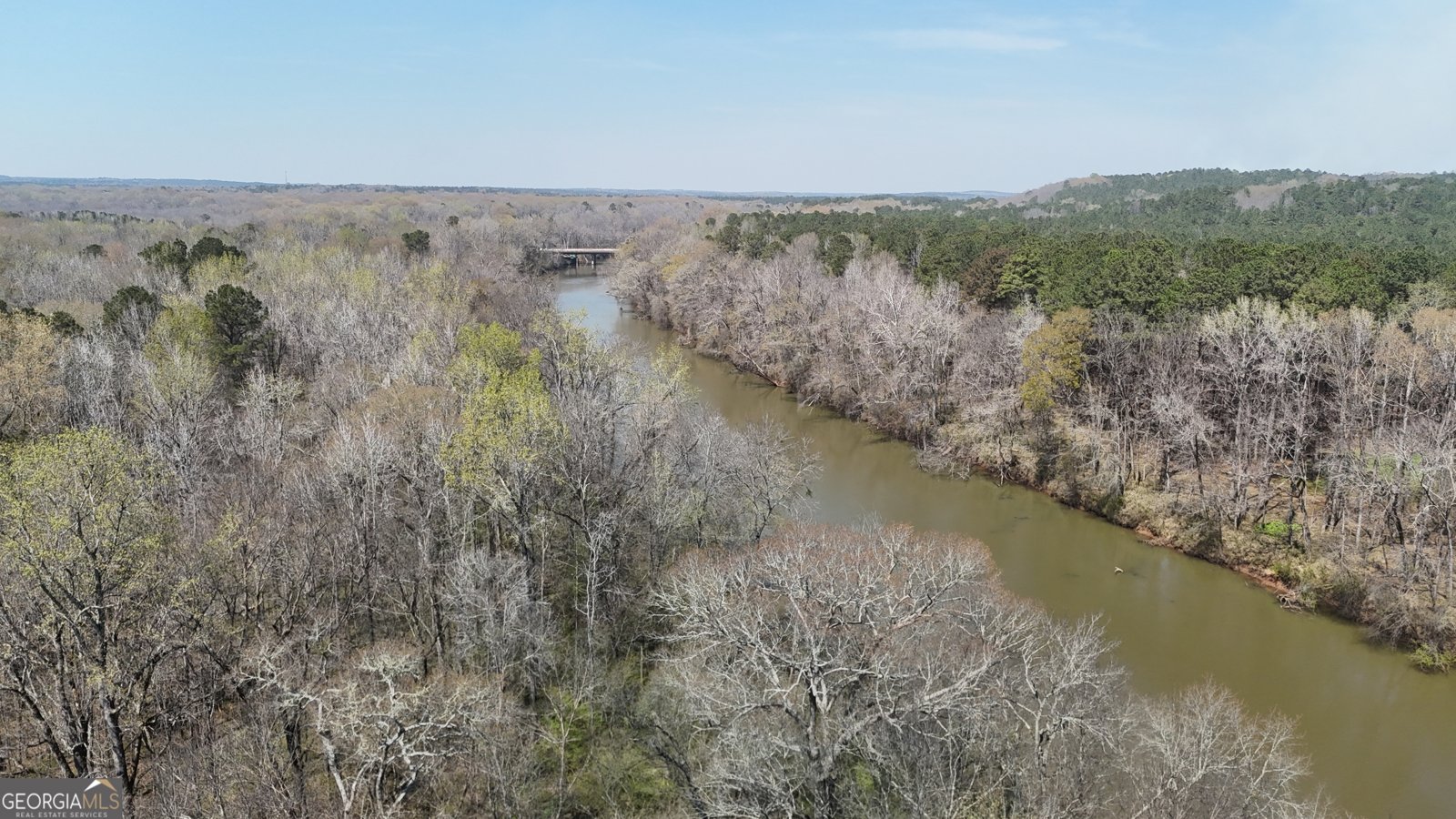 6243 Ga Highway 83 Forsyth - Photo 33