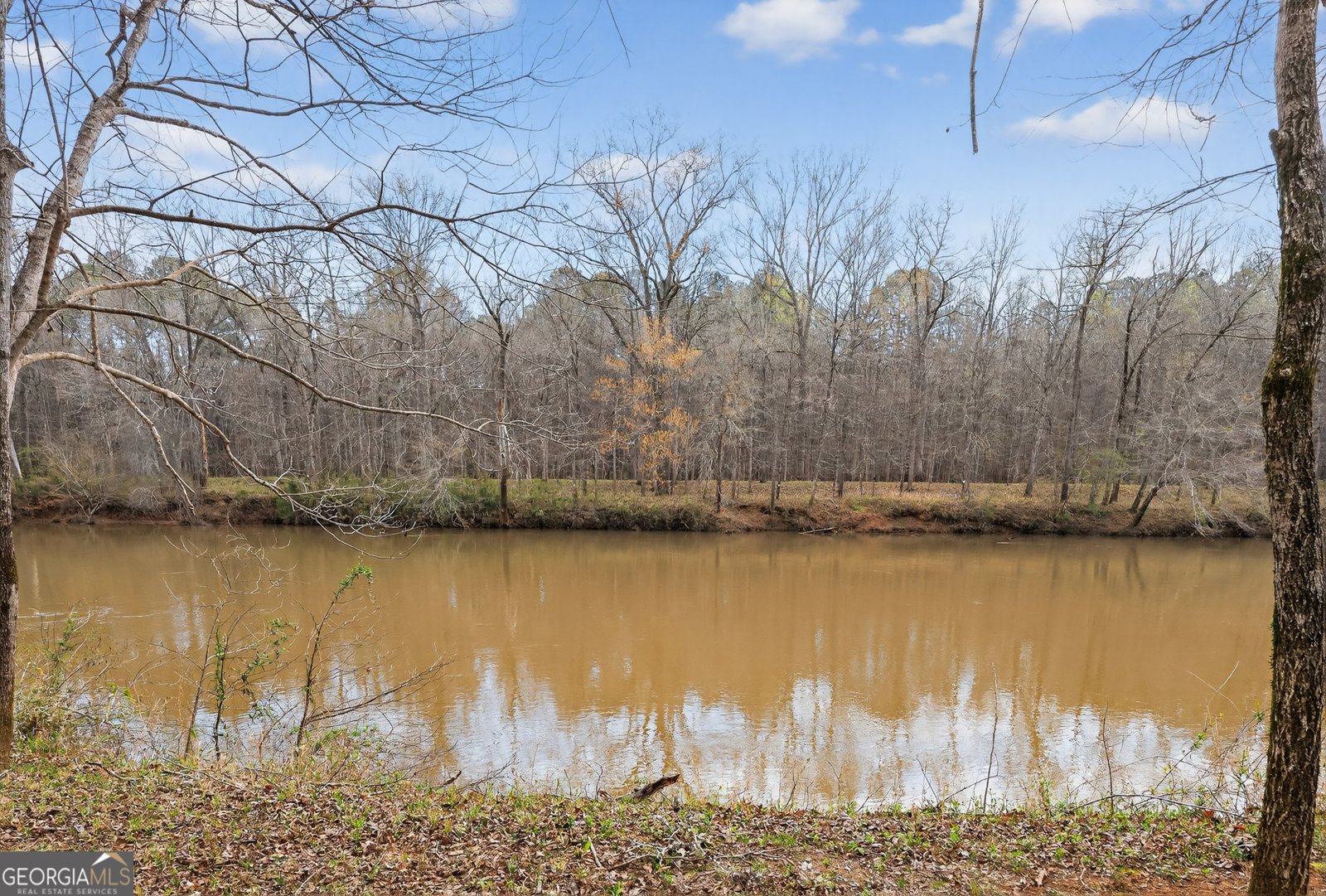 6243 Ga Highway 83 Forsyth - Photo 39