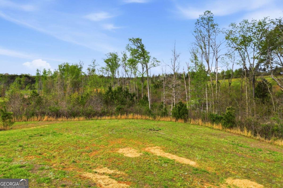 3931 Upper Bethany Road Ball Ground - Photo 37