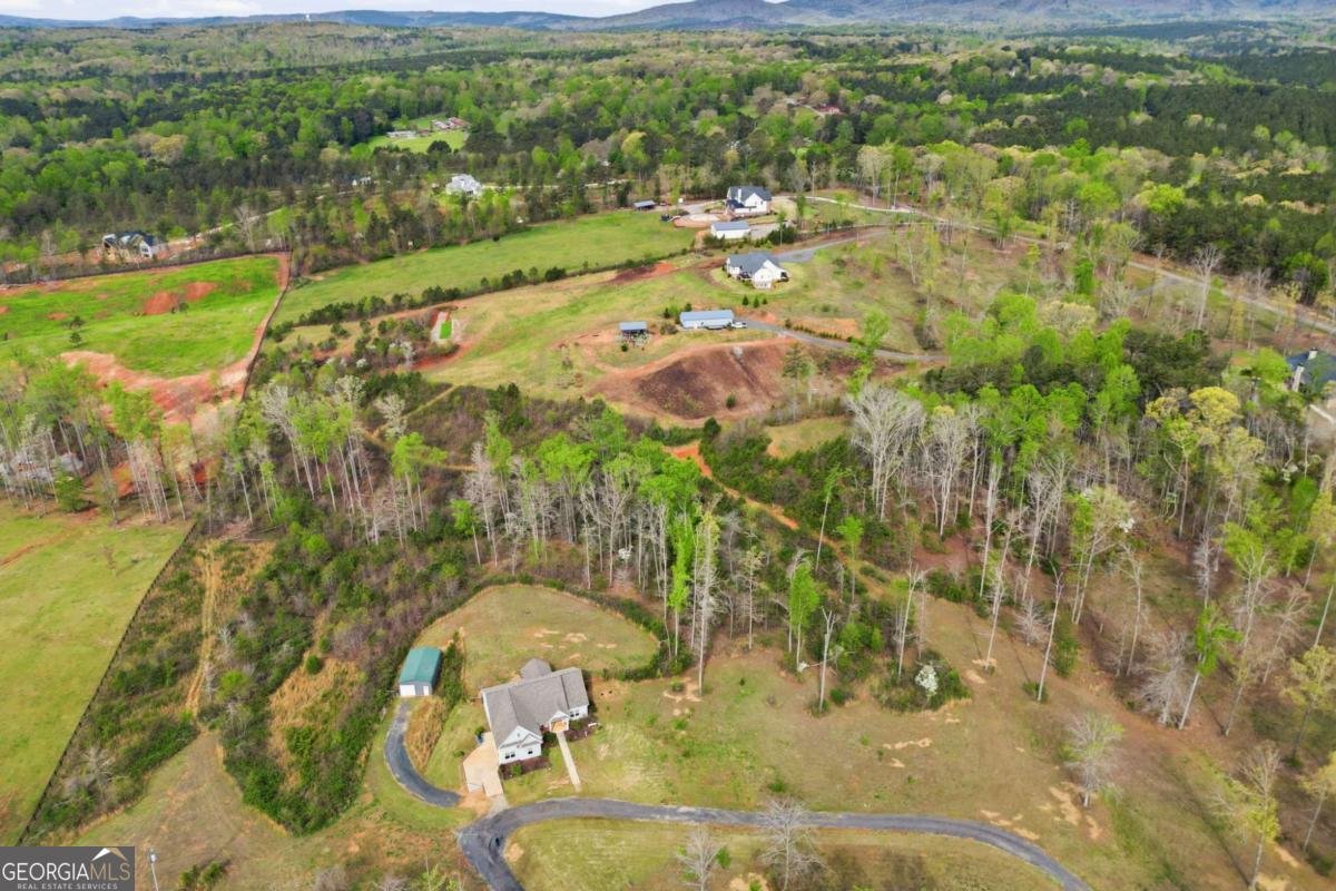 3931 Upper Bethany Road Ball Ground - Photo 40