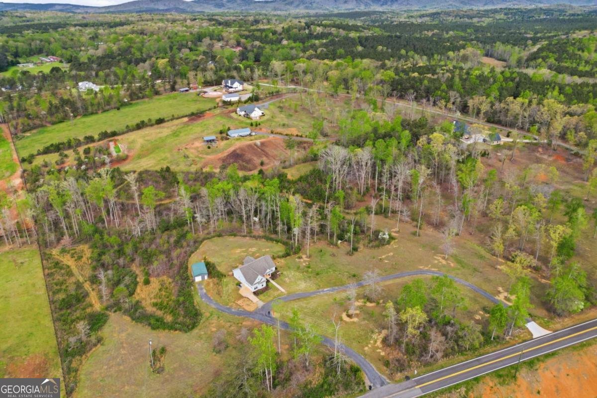 3931 Upper Bethany Road Ball Ground - Photo 41