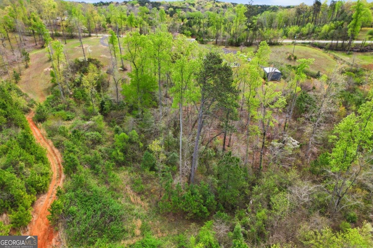 3931 Upper Bethany Road Ball Ground - Photo 43