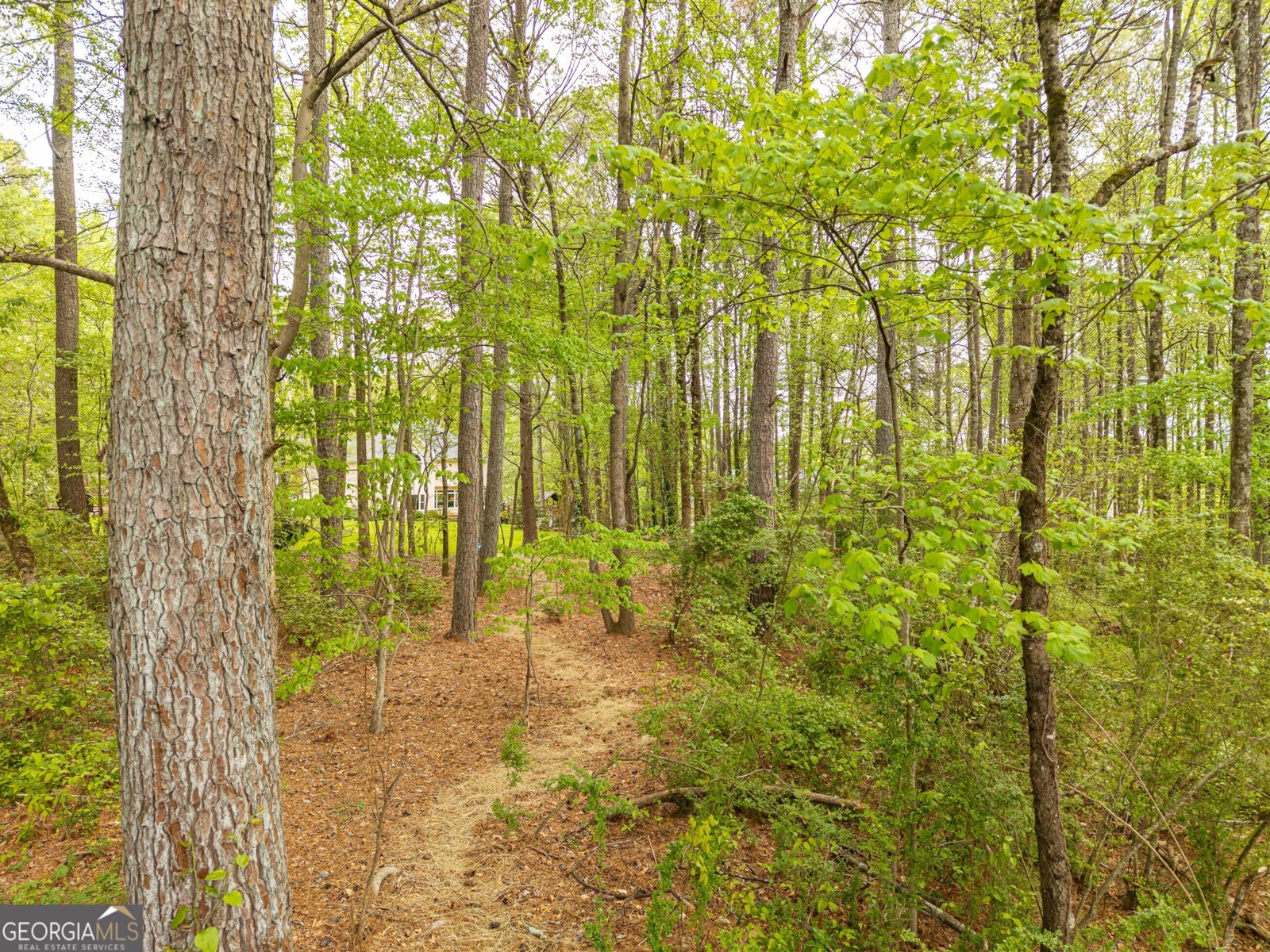 4880 Rosewood Lake Drive Cumming - Photo 77