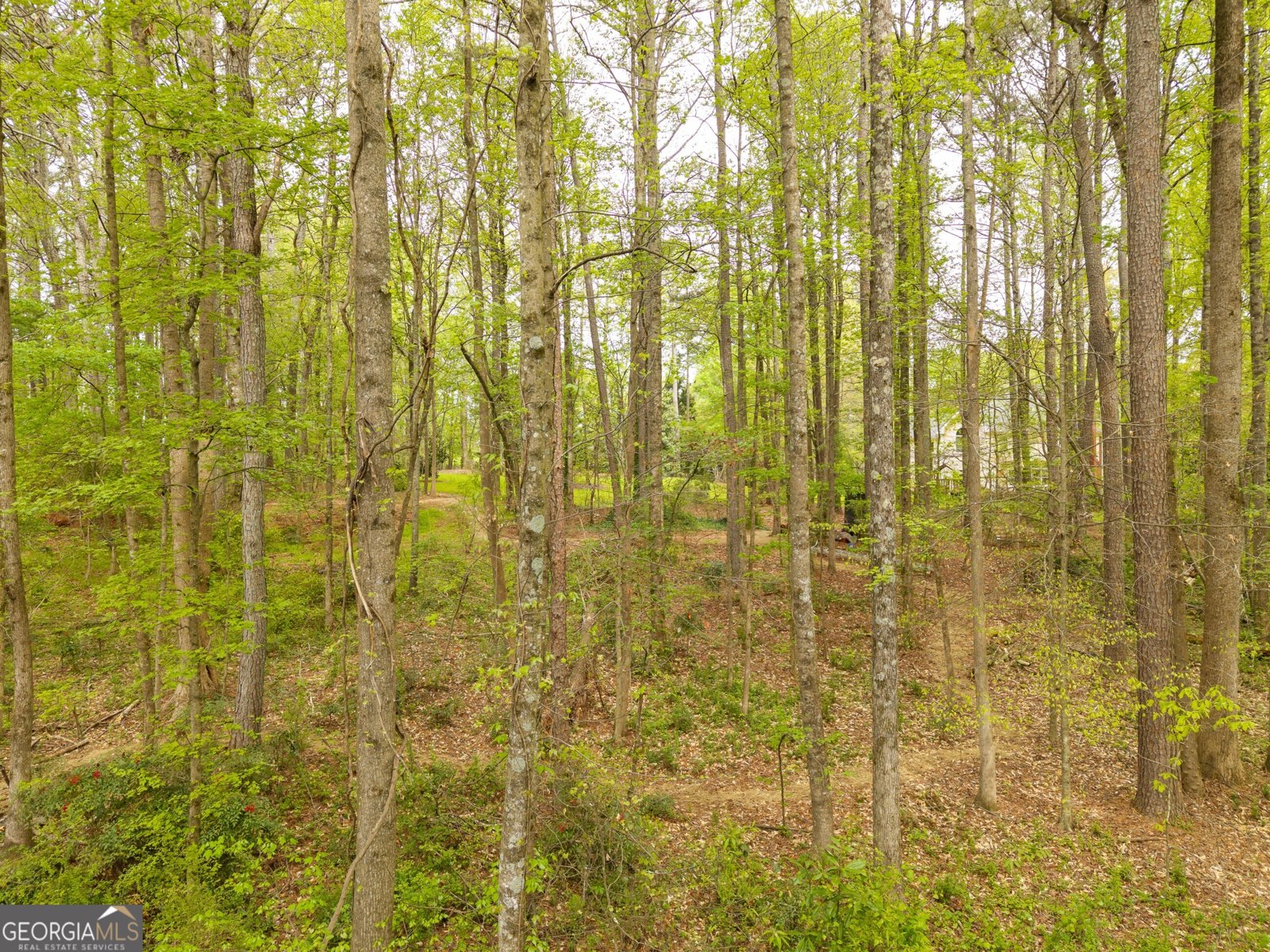 4880 Rosewood Lake Drive Cumming - Photo 79