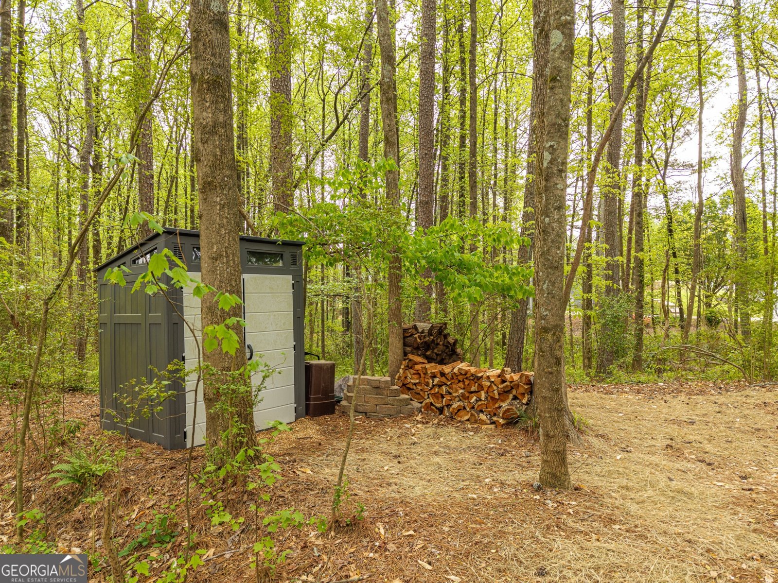 4880 Rosewood Lake Drive Cumming - Photo 80