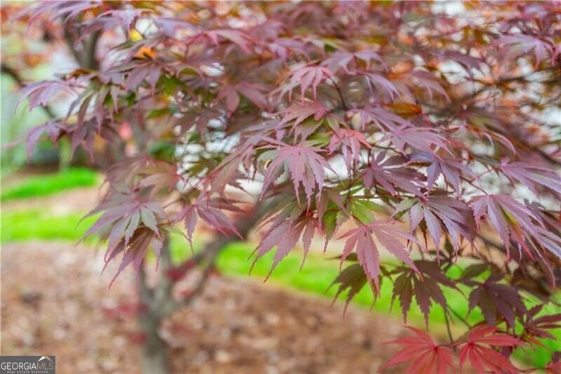 229 Dennis Drive Alpharetta - Photo 36