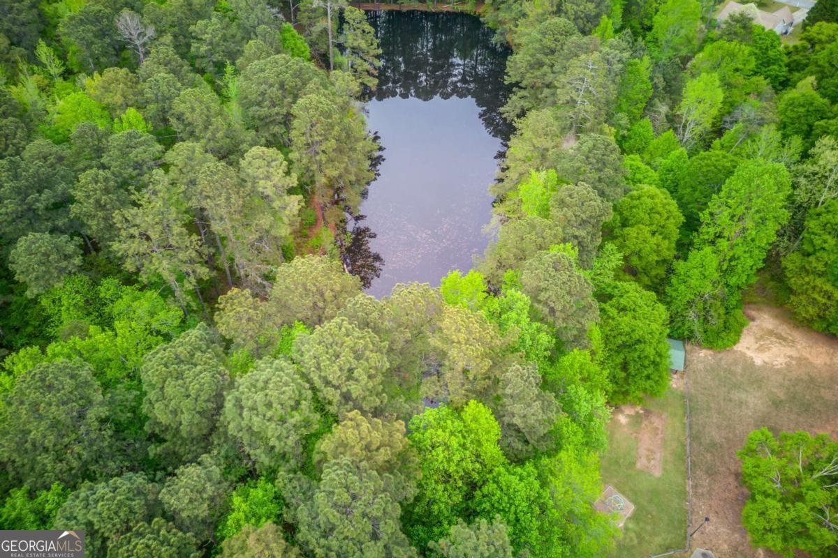 255 Turnberry Lane Winder - Photo 39