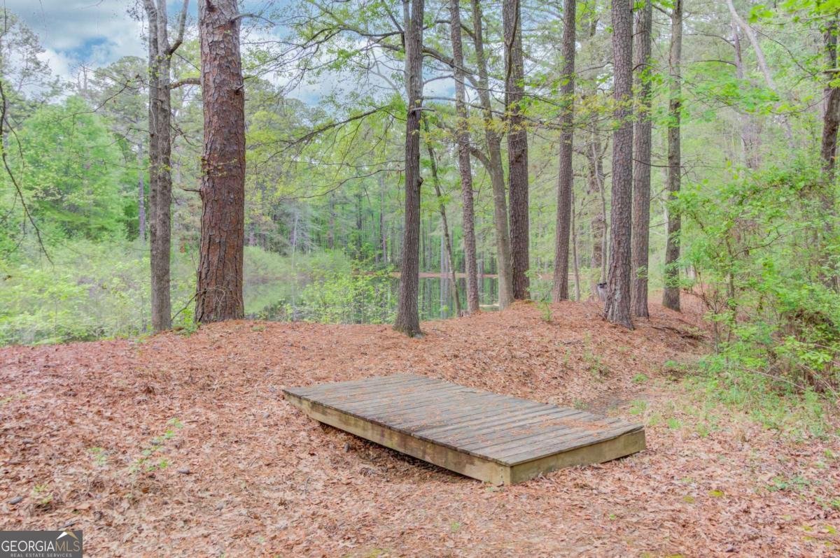 255 Turnberry Lane Winder - Photo 40