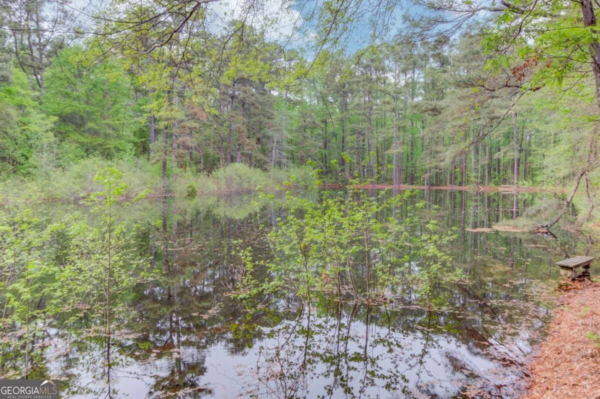 255 Turnberry Lane Winder - Photo 41