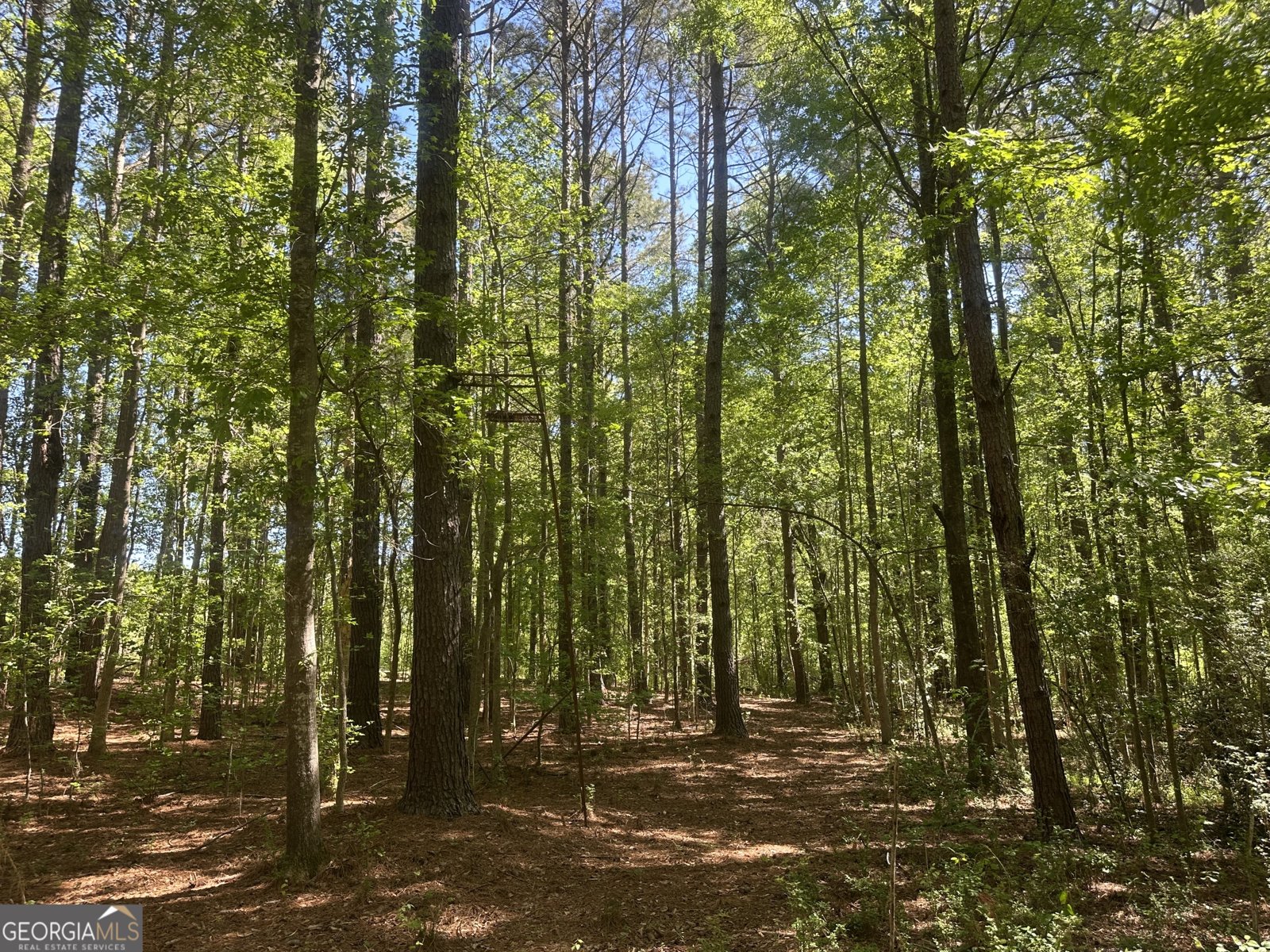 20112 Highway 85 Gay - Photo 10