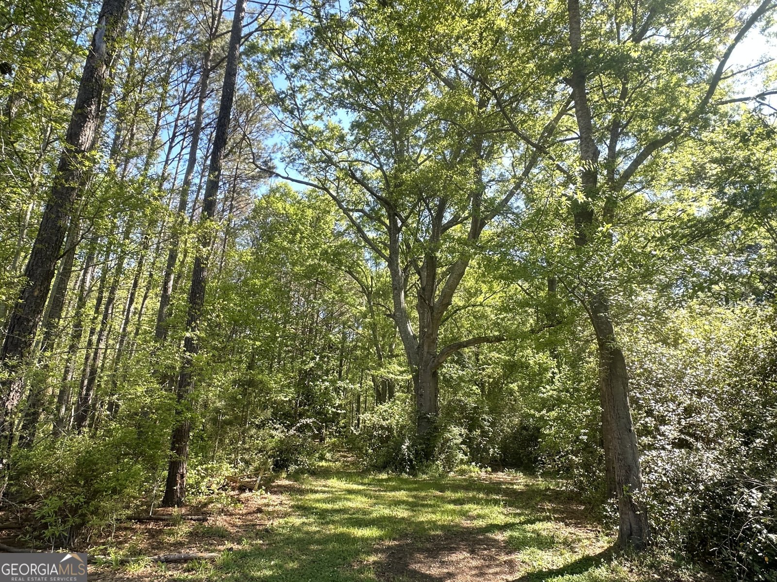 20112 Highway 85 Gay - Photo 11