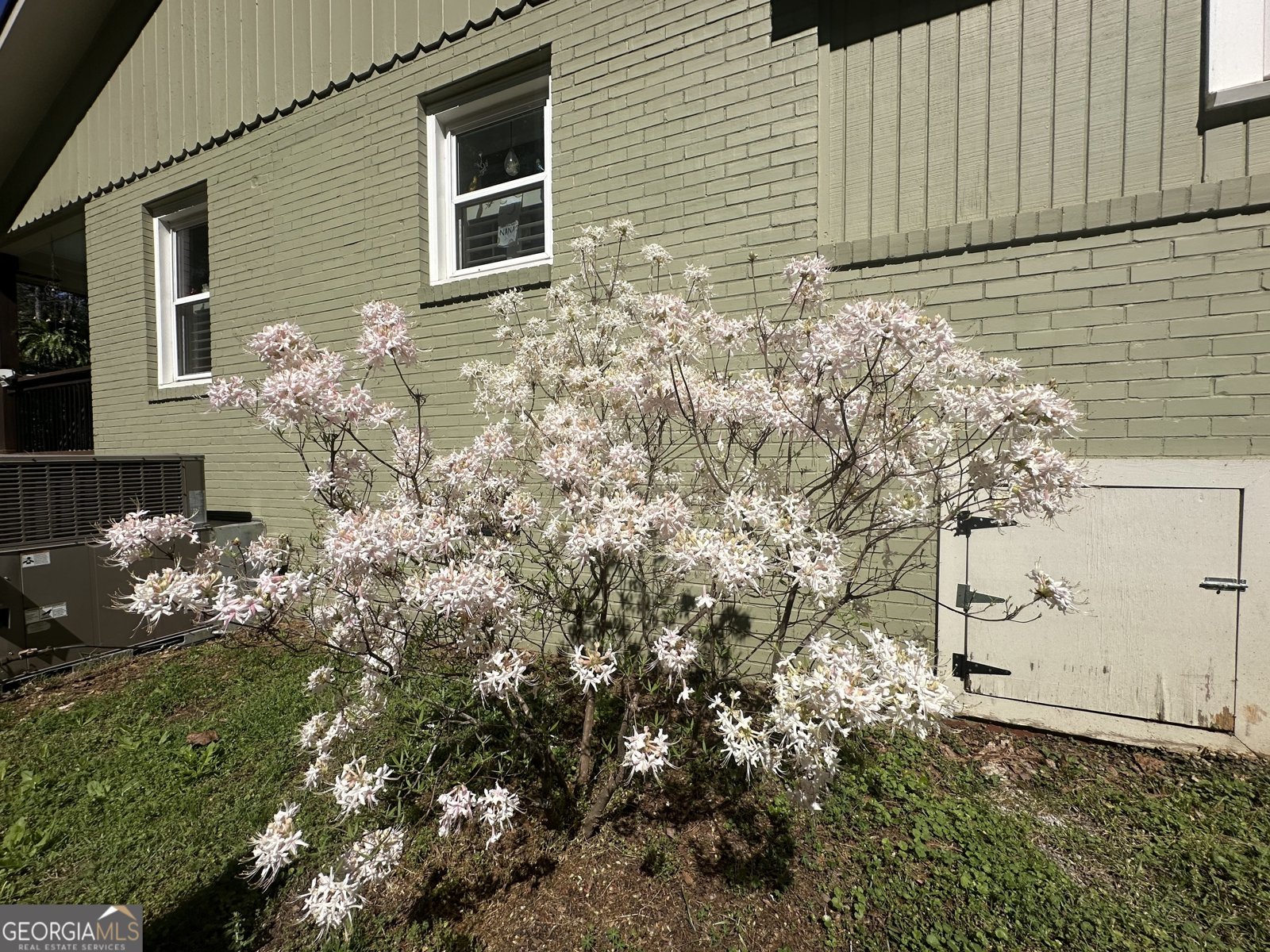 20112 Highway 85 Gay - Photo 13