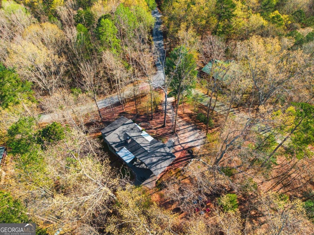 253 Zenith Trail Ellijay - Photo 29