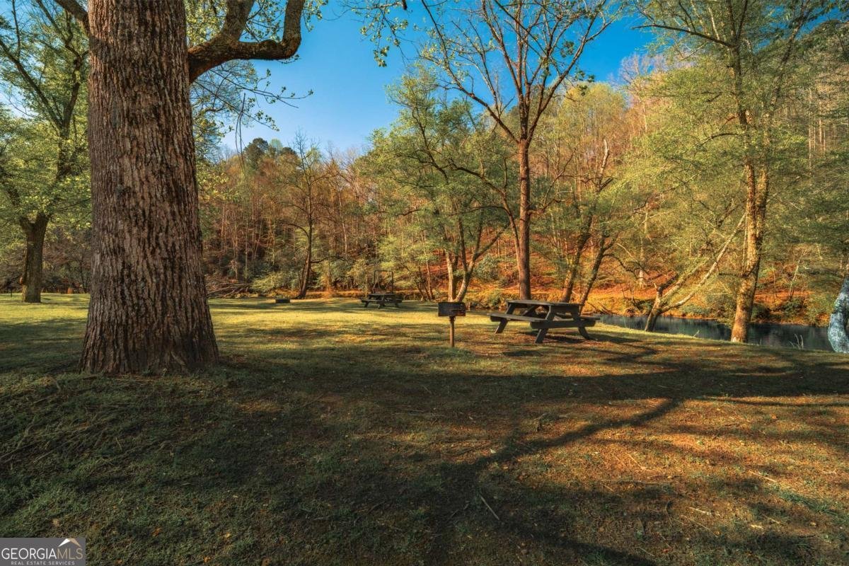 253 Zenith Trail Ellijay - Photo 31