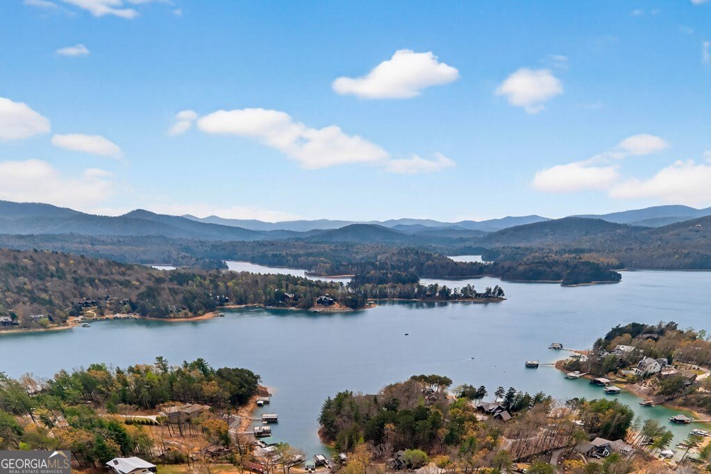 127 Azure Point Blue Ridge - Photo 39