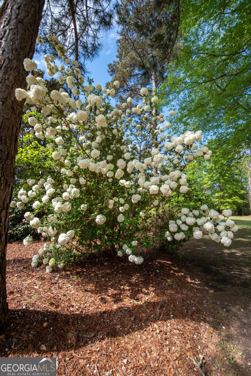 301 Old Windmill Road Perry - Photo 14