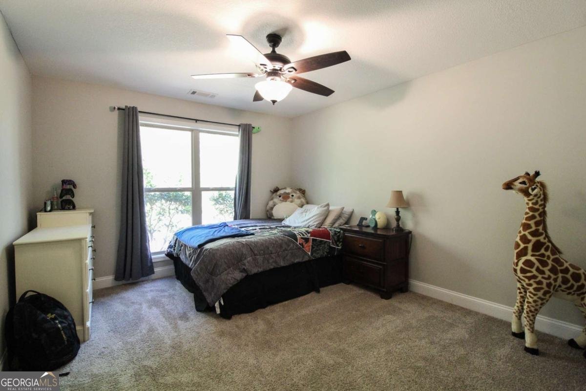 75 Dinsmore Drive Colbert - Photo 17