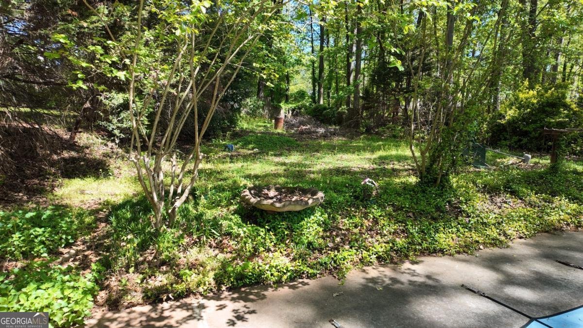 2072 hampton Trail Conyers - Photo 24