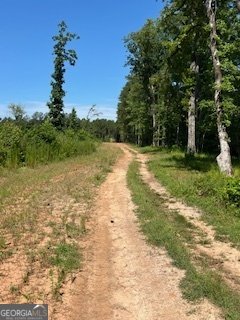 4348 Marshall Stewart Road Crawfordville - Photo 79