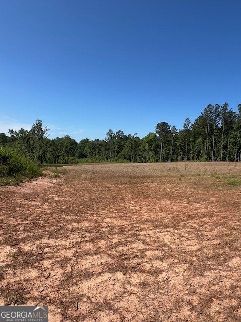 4348 Marshall Stewart Road Crawfordville - Photo 80