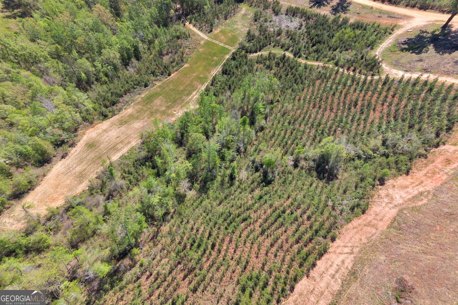 4348 Marshall Stewart Road Crawfordville - Photo 83