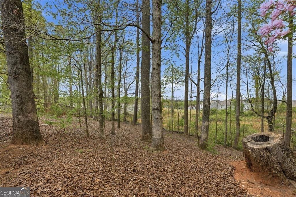 6630 Brittney Lane Cumming - Photo 28